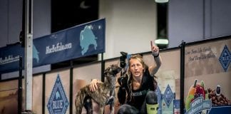 Fenton Trainer and Dog to Attempt Guinness World Record